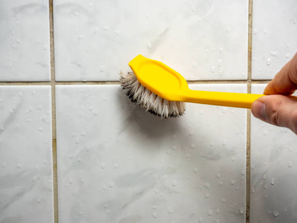 Best Industrial Mold Remediation in Algona, WA